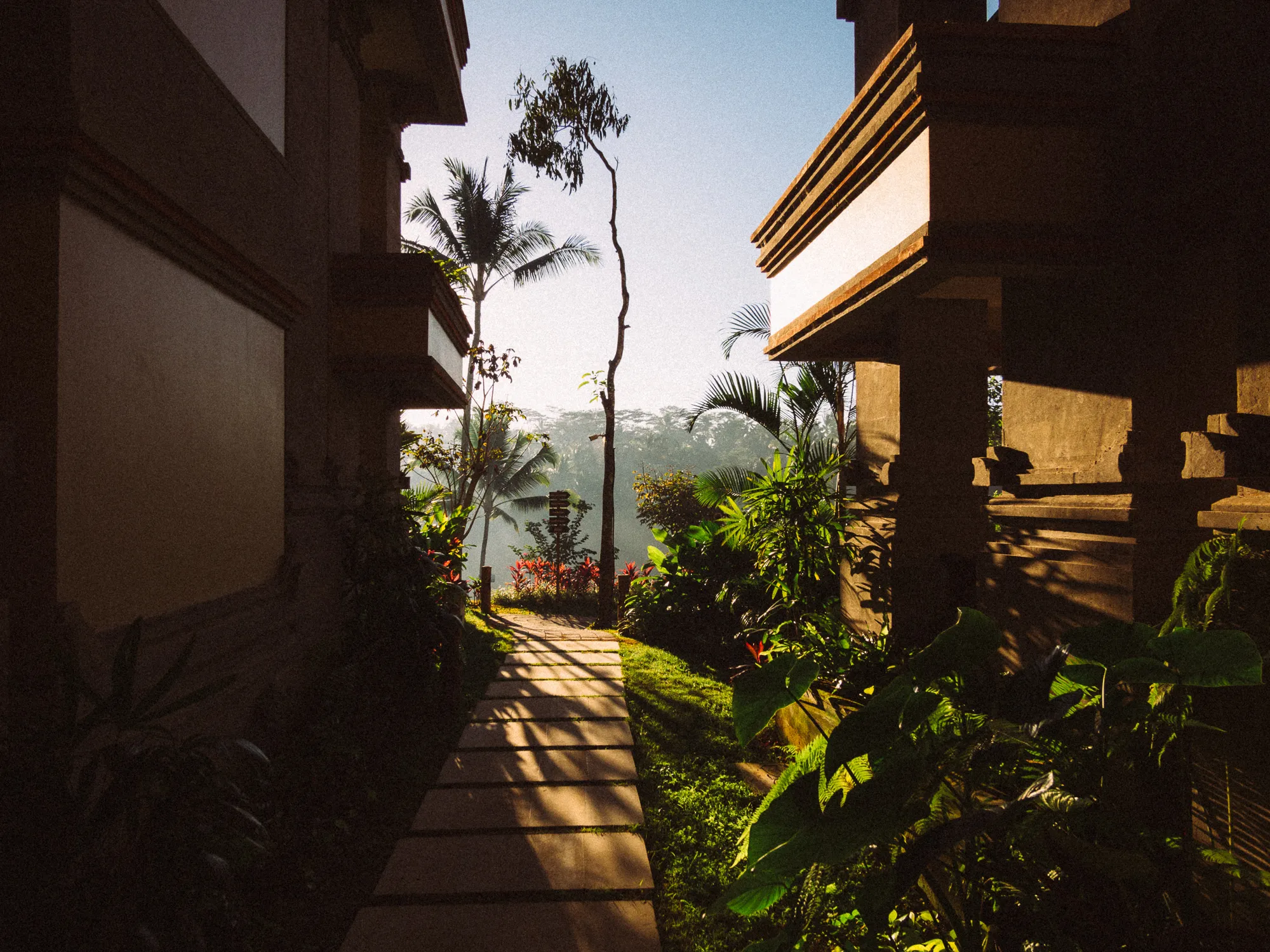 Stone path between shadowed buildings, leading to tropical forest under bright sky.