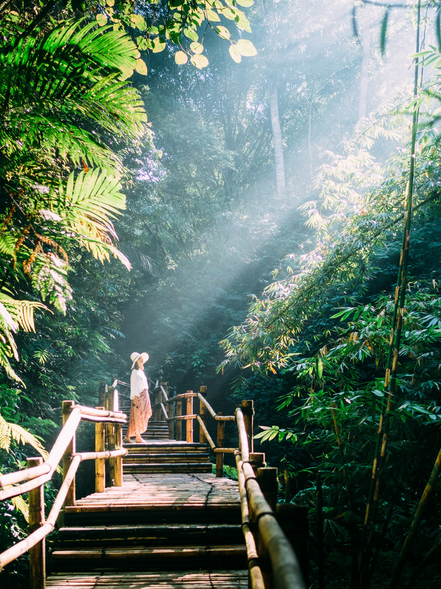 Woman on bamboo bridge in misty, sunlit jungle.
