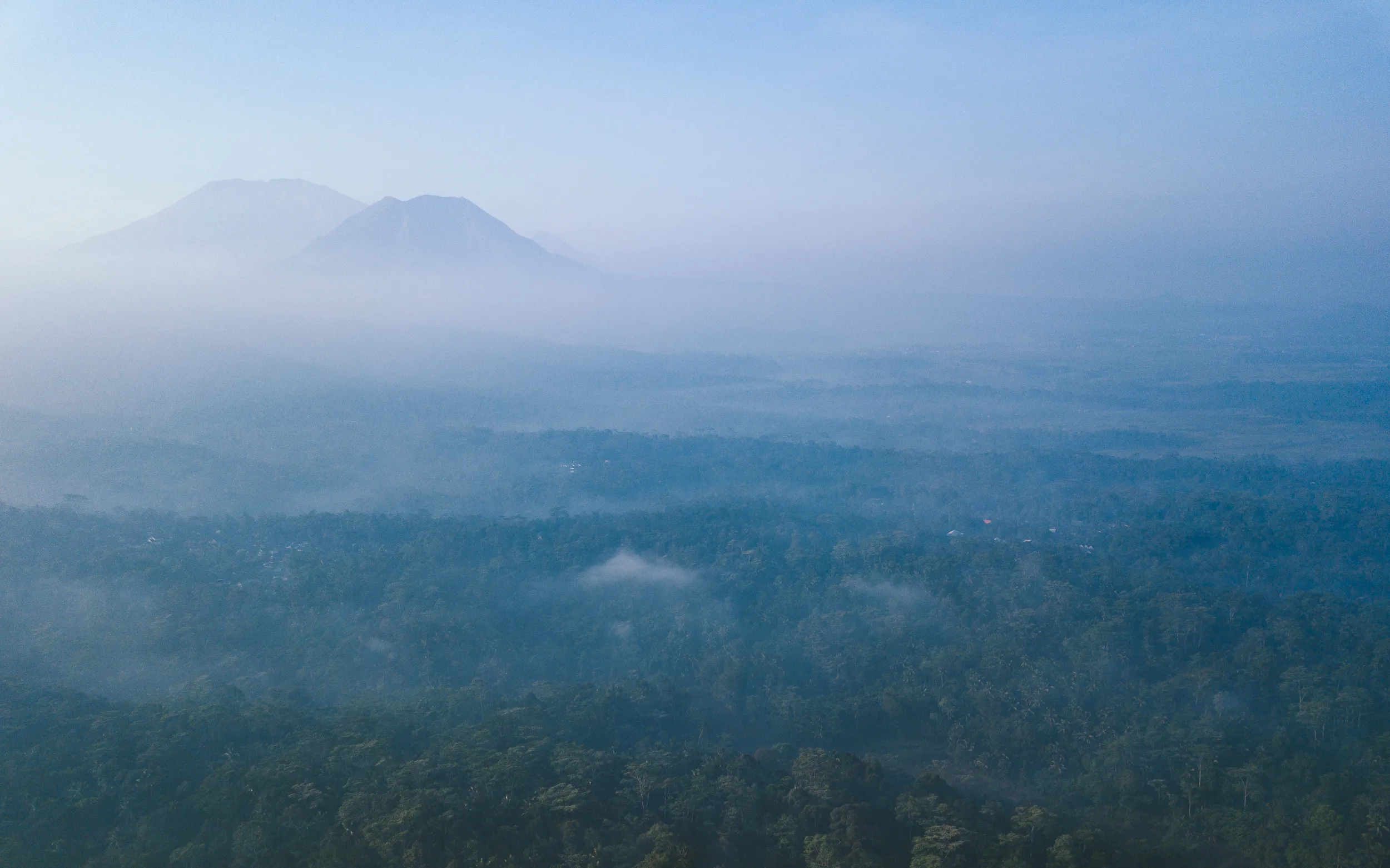 Two misty mountains overlook a vast, fog-covered forest.