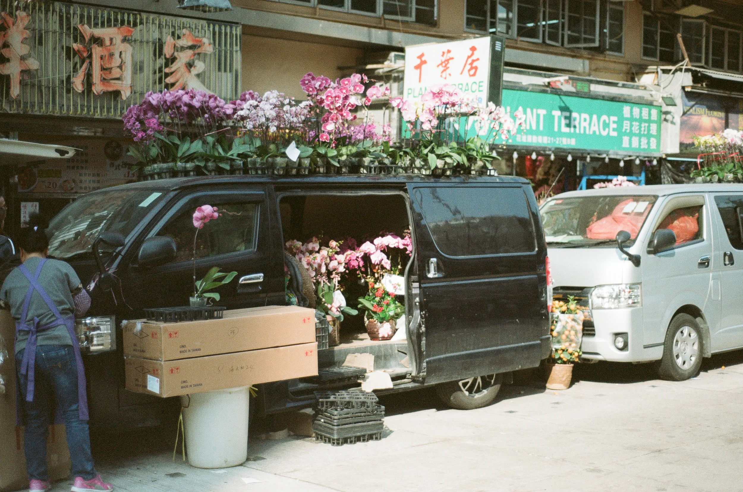 Black van overflowing with pink orchids and flowers, person working.