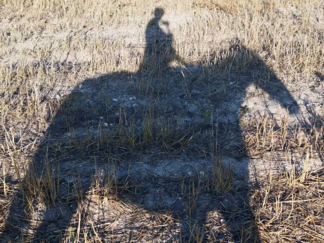 The long shadow of a horse and rider cast across a sunlit stubble field in Cyprus.