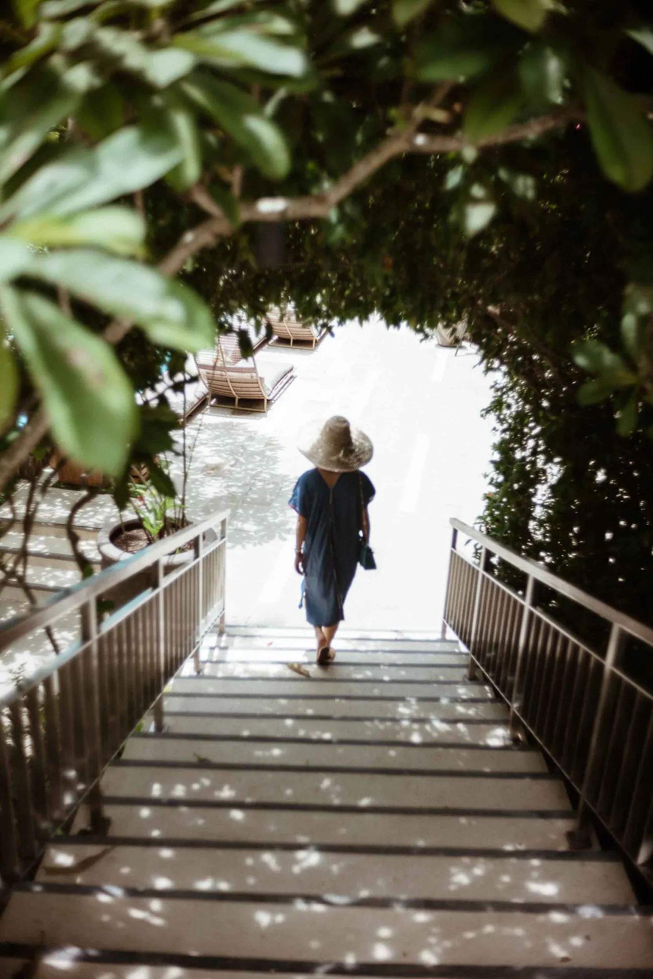 Woman in straw hat descends sunlit stairs, framed by green foliage.