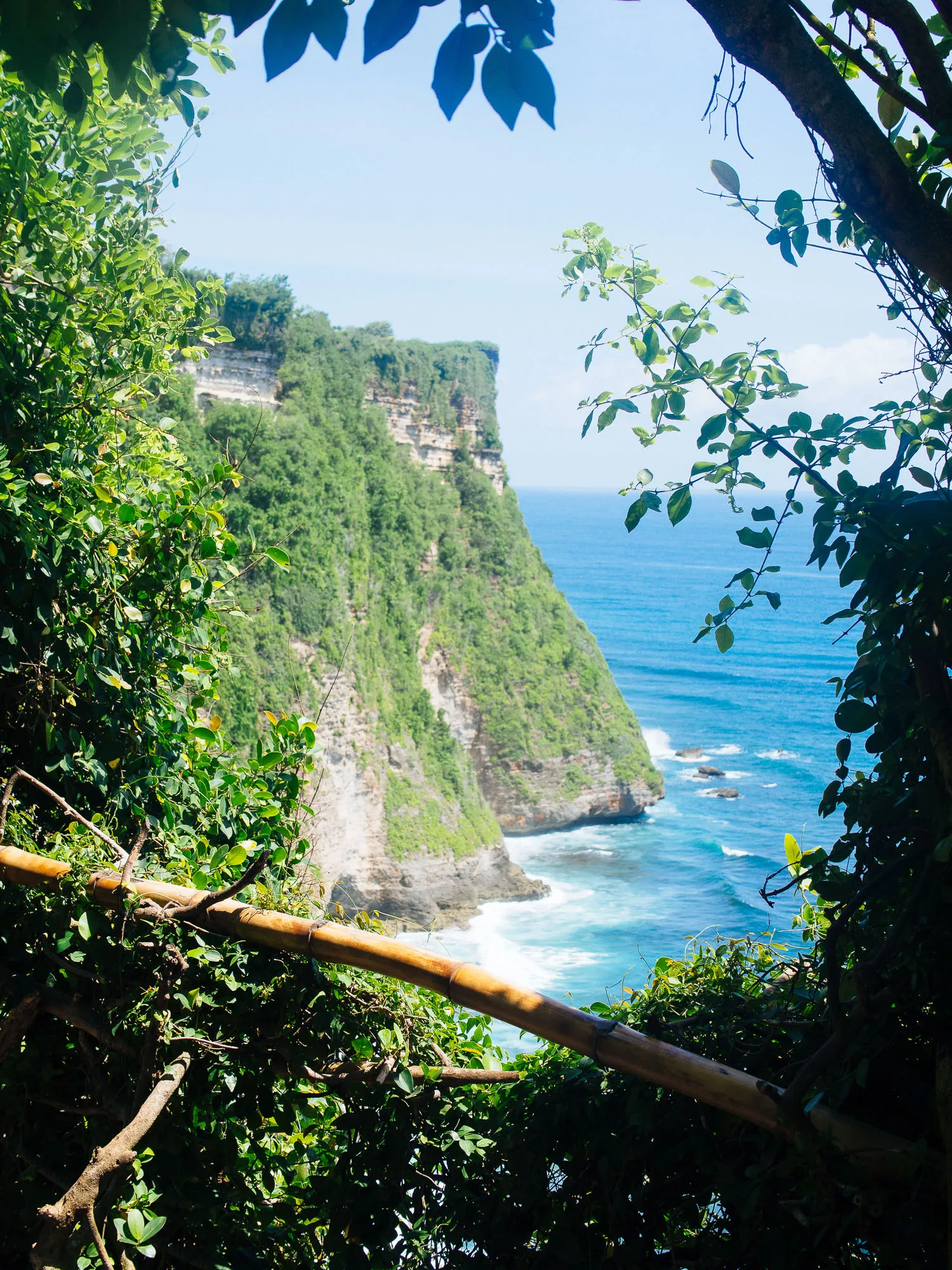 Foliage and bamboo frame a steep, green cliff meeting a blue ocean.