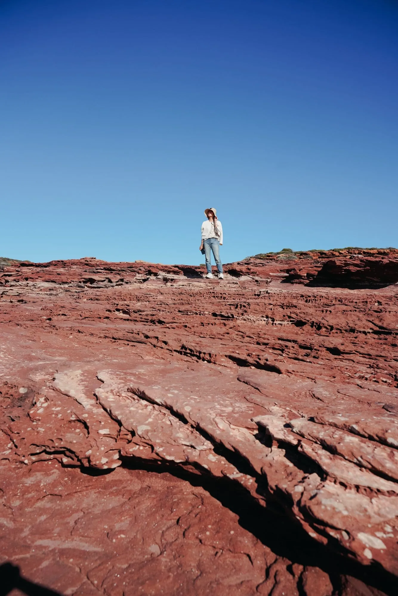 Coral Coast Images 2025-34