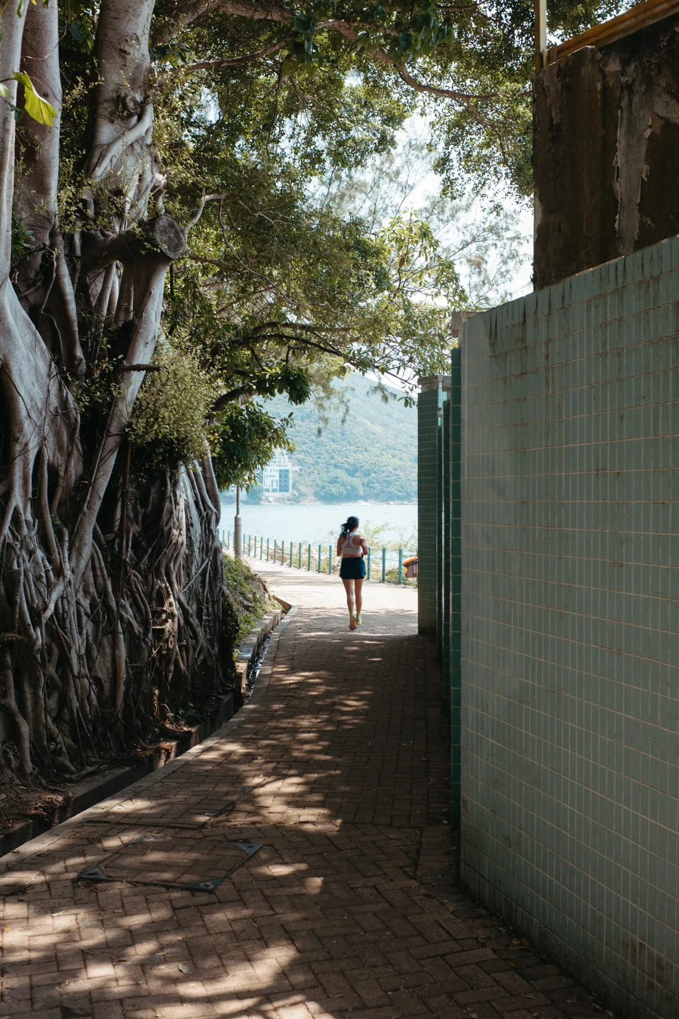 Hong Kong Images 2025-4