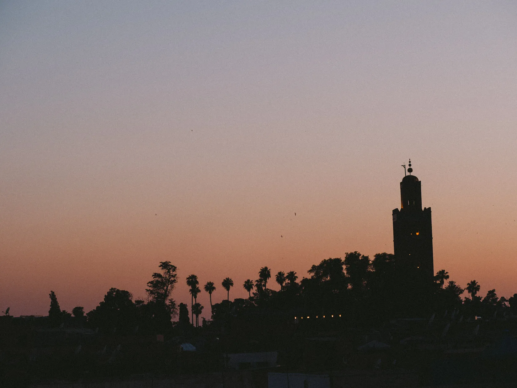 Minaret and palm trees silhouetted against a colourful sunset sky.