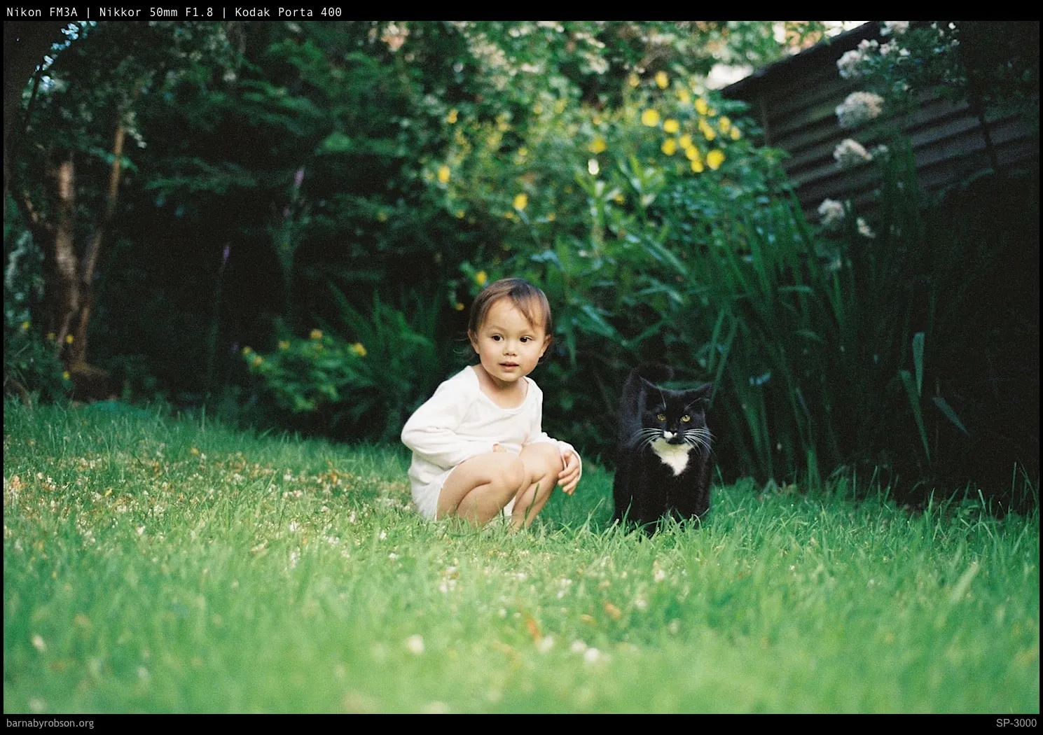 Toddler and tuxedo cat on green grass in a garden.