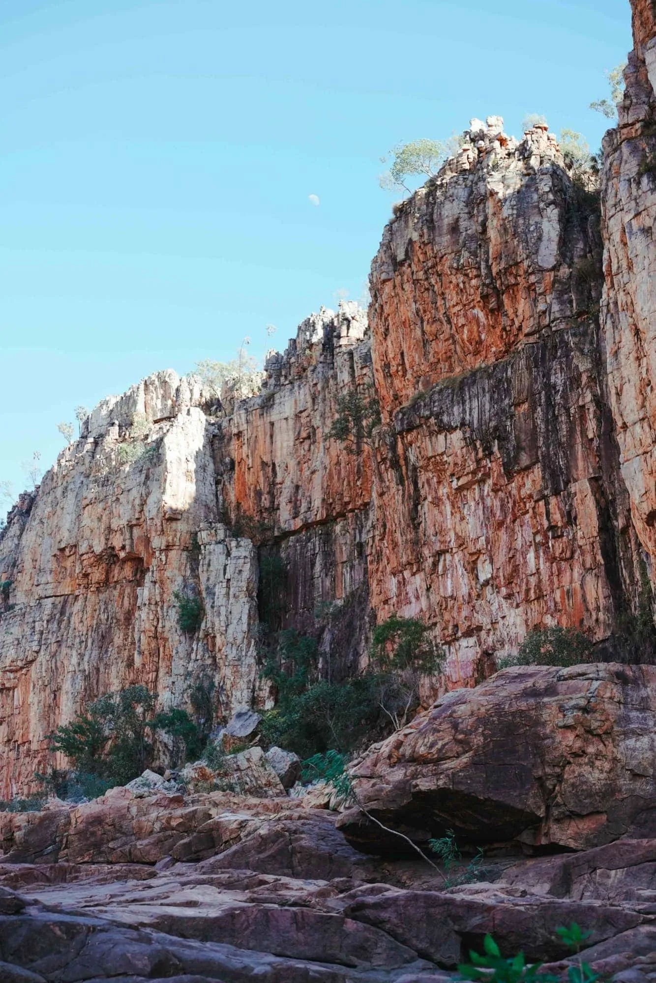Towering orange sandstone walls in Nitmiluk Gorge.