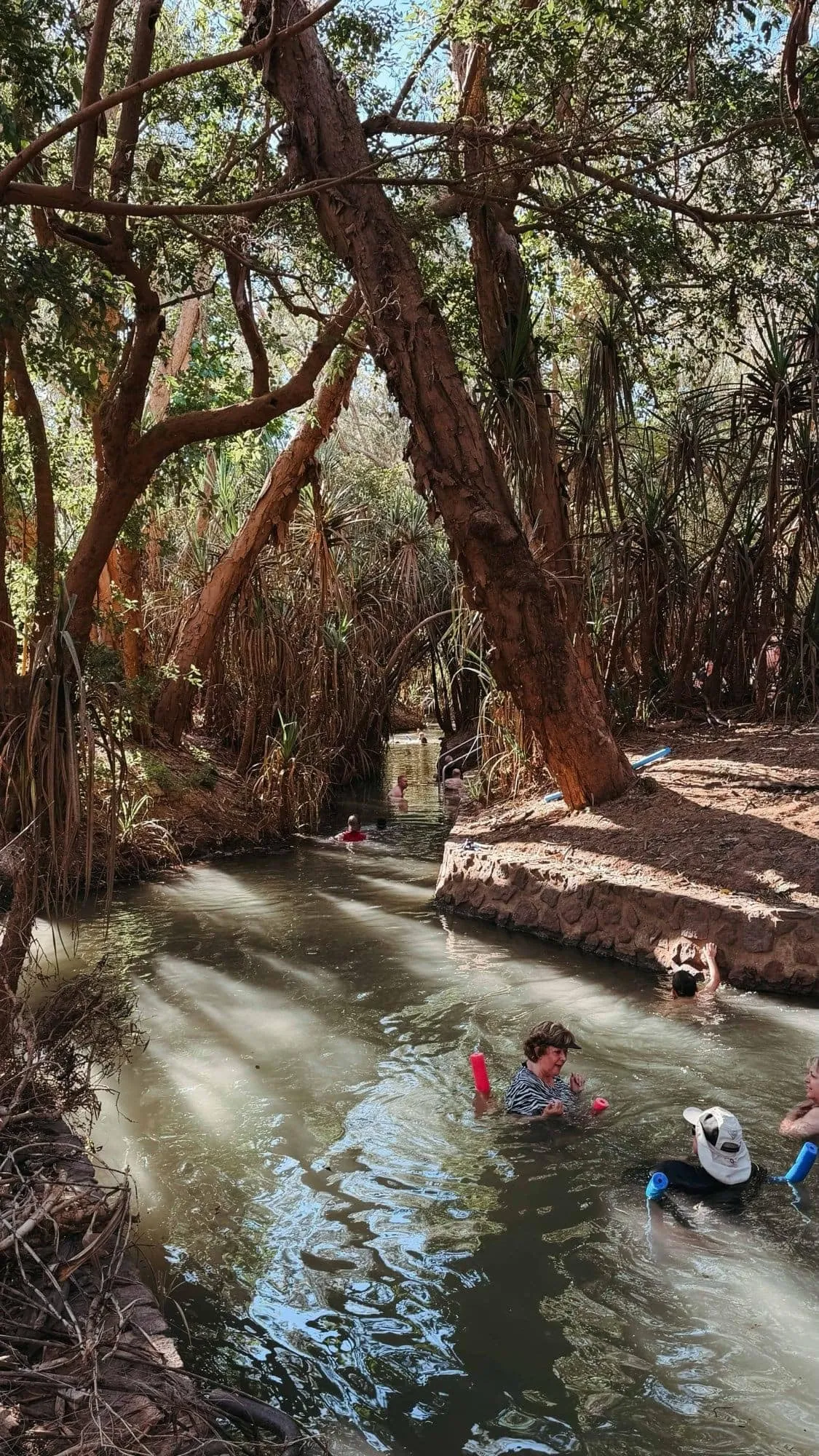 A pandanus-lined channel and swimmers at Katherine Hot Springs.