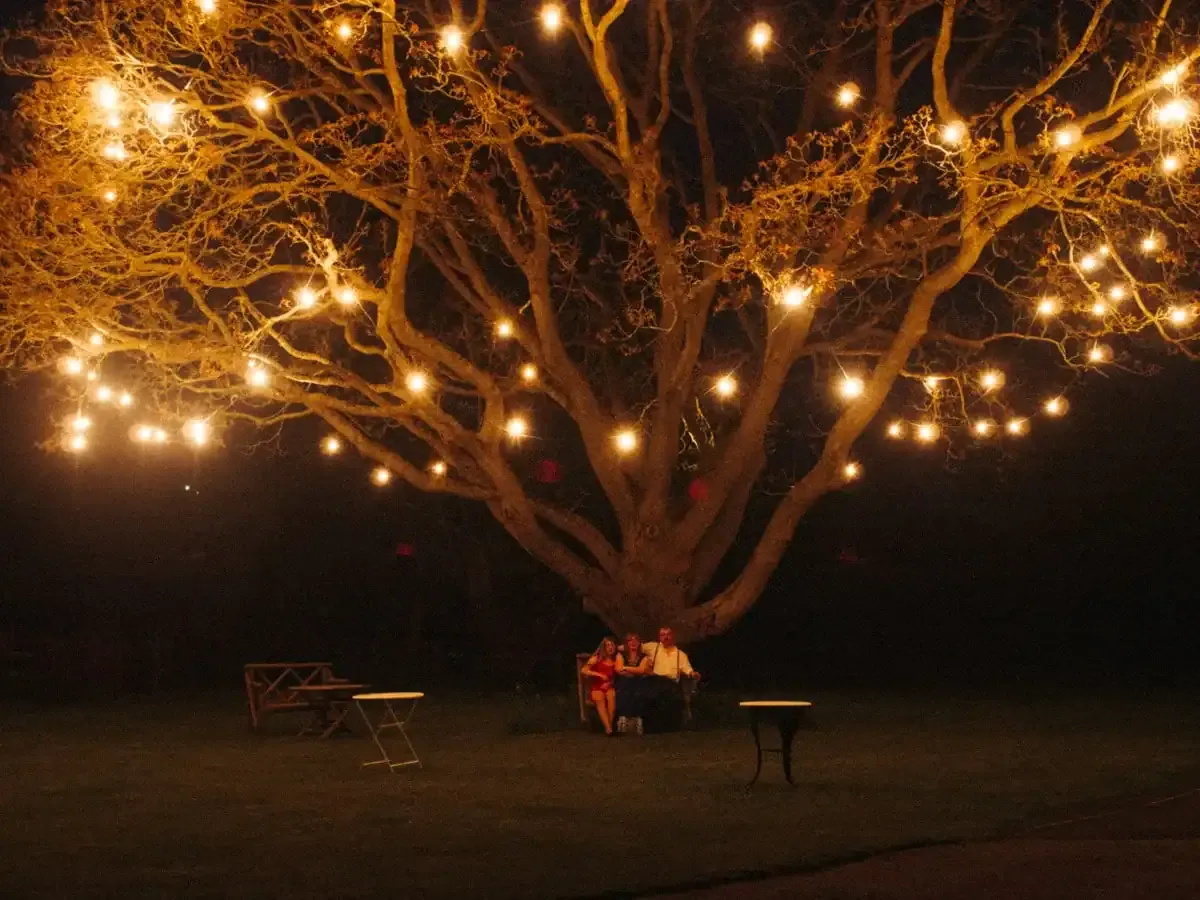 Large tree illuminated by string lights, three people sitting underneath at night.