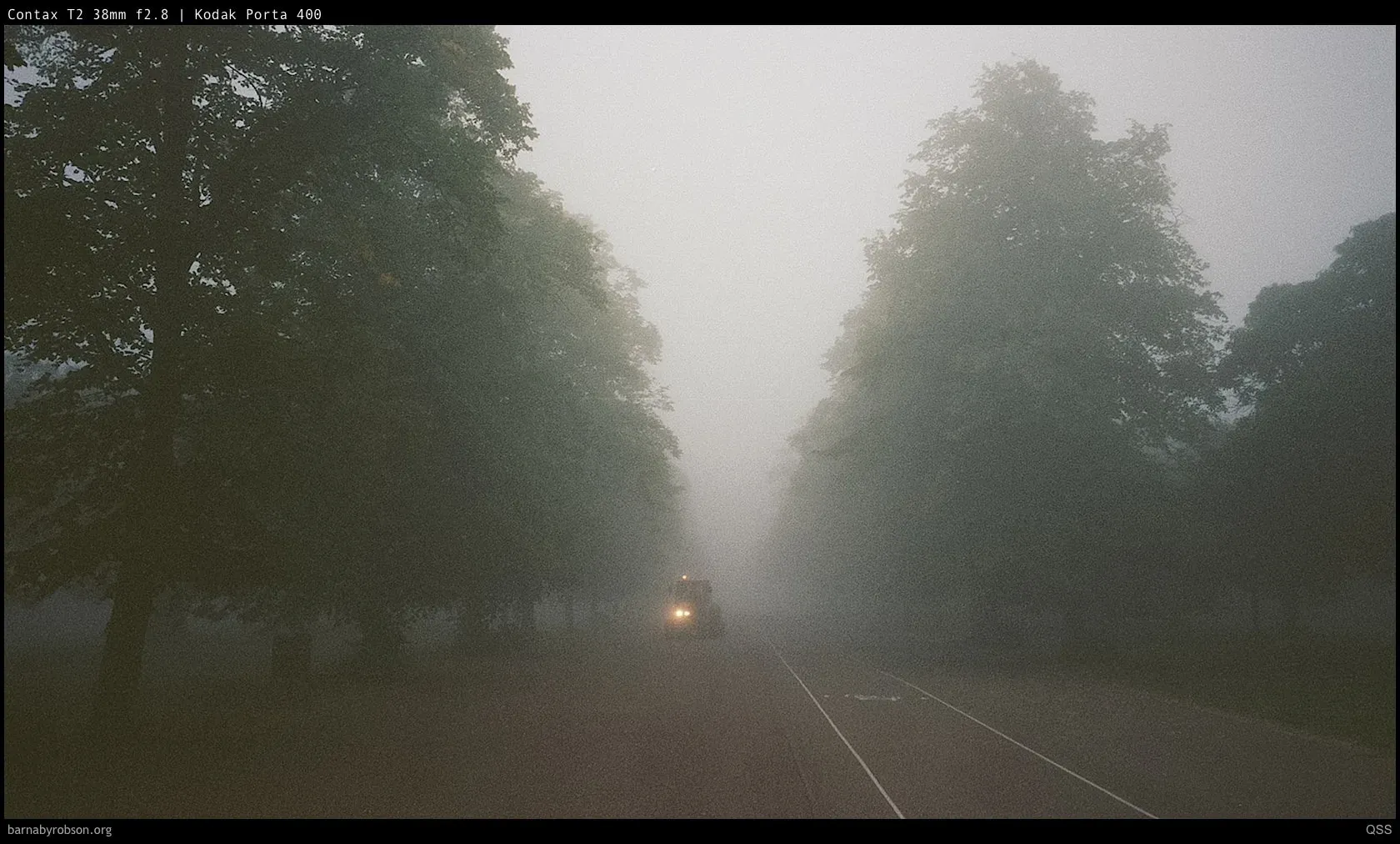 A road disappearing into thick morning fog between trees, shot on film.
