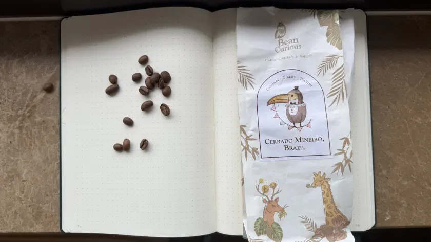Cerrado Mineiro by BeanCurious, a coffee bag photographed for the Cup of Record archive