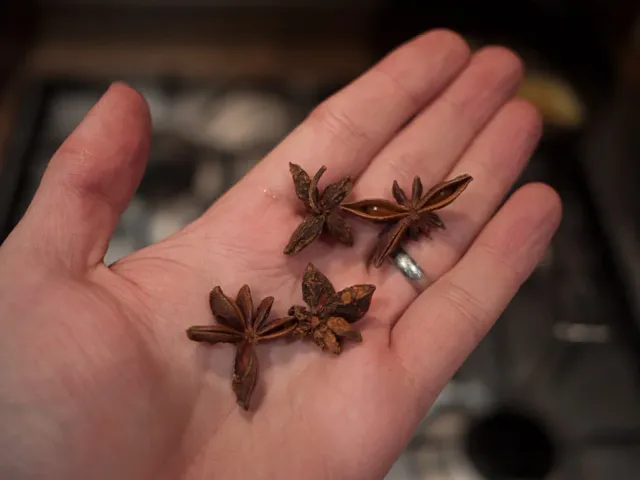 Star anise held in an open palm above the stew pot.