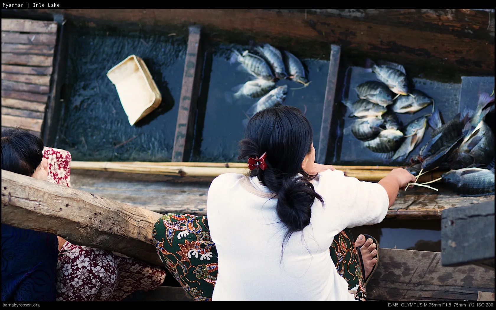 Person in wooden boat with fish in water-filled sections.