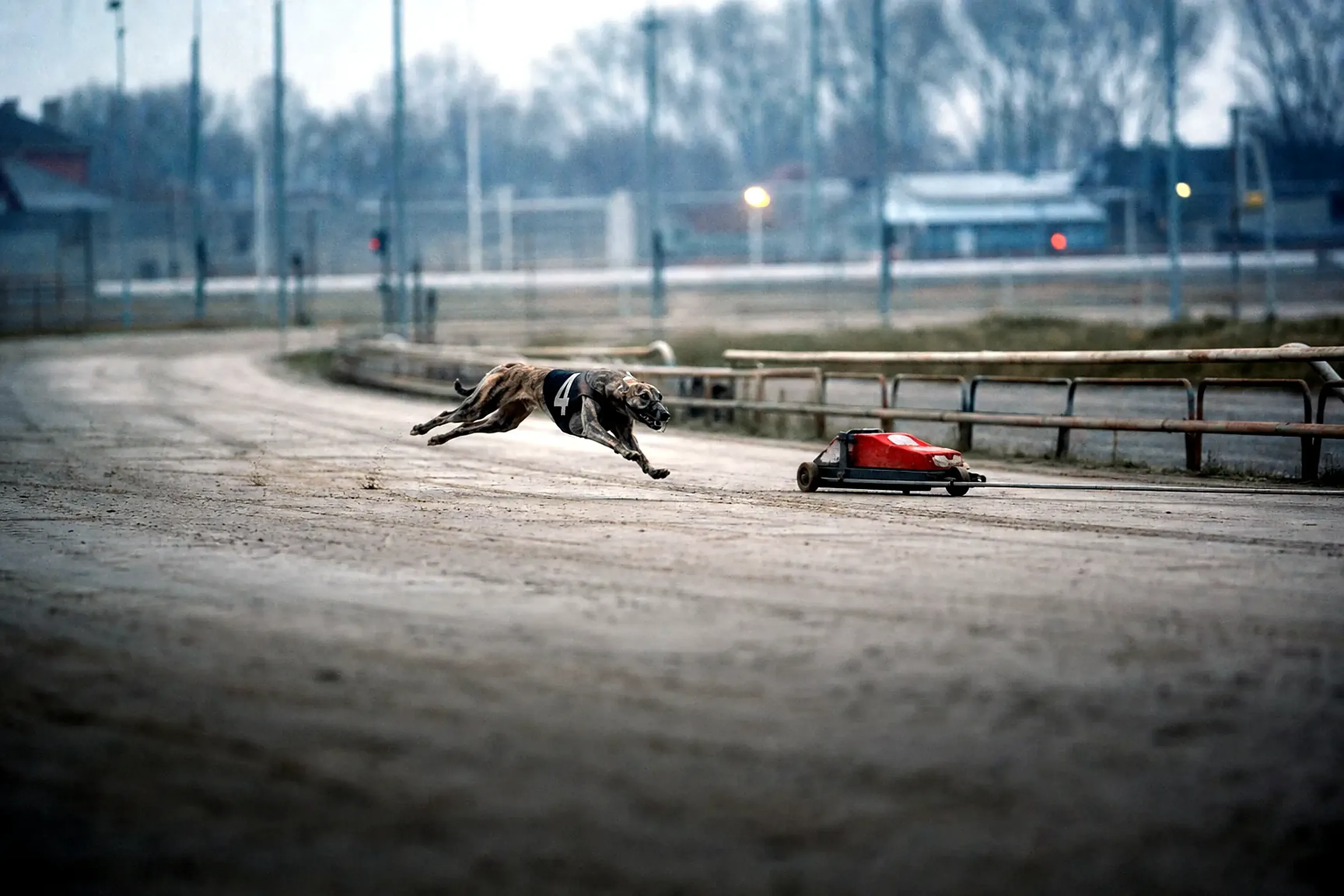 A lean greyhound at full stretch chasing a red mechanical lure around an empty dawn racing track, a metaphor for capital pursuing the next AI opportunity.