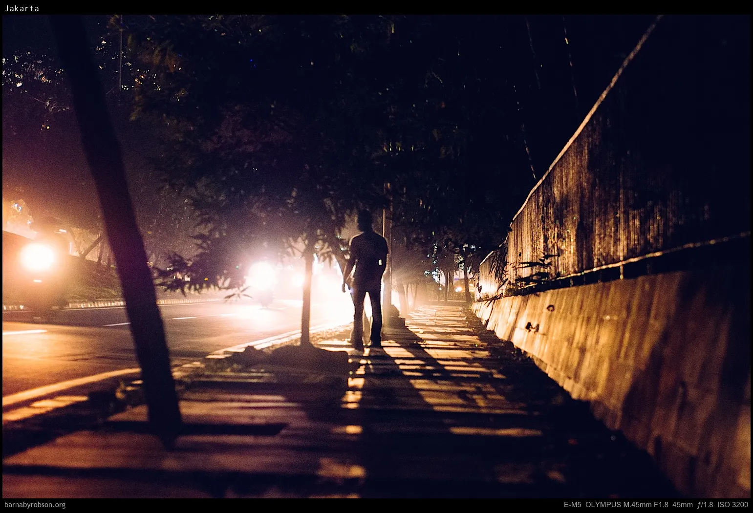 Silhouetted person walks on hazy pavement at night, trees, wall, and car lights.