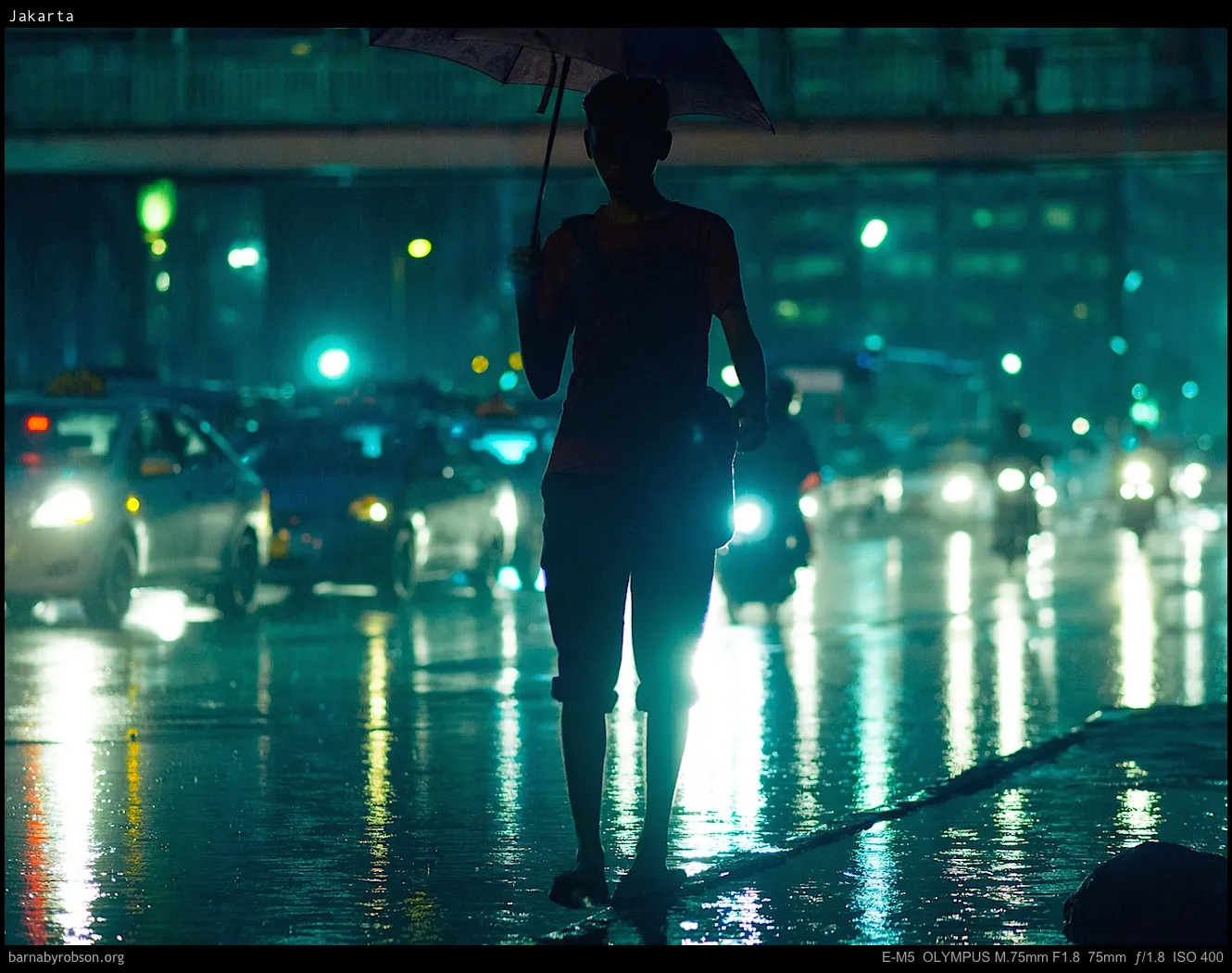 Silhouetted person with umbrella on wet city street, reflecting car lights.