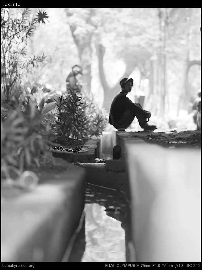 Monochrome: Capped person sits by a narrow water channel and plants.