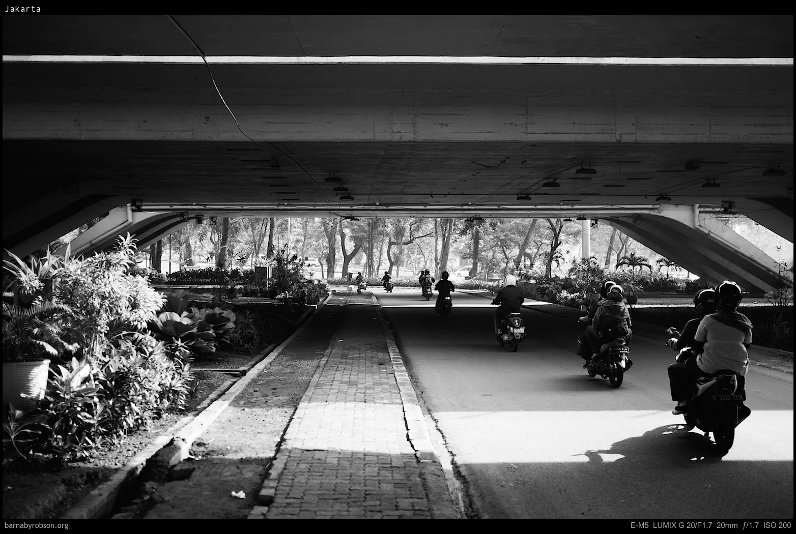 Black and white street scene: motorbikes under a bridge, plants, trees.