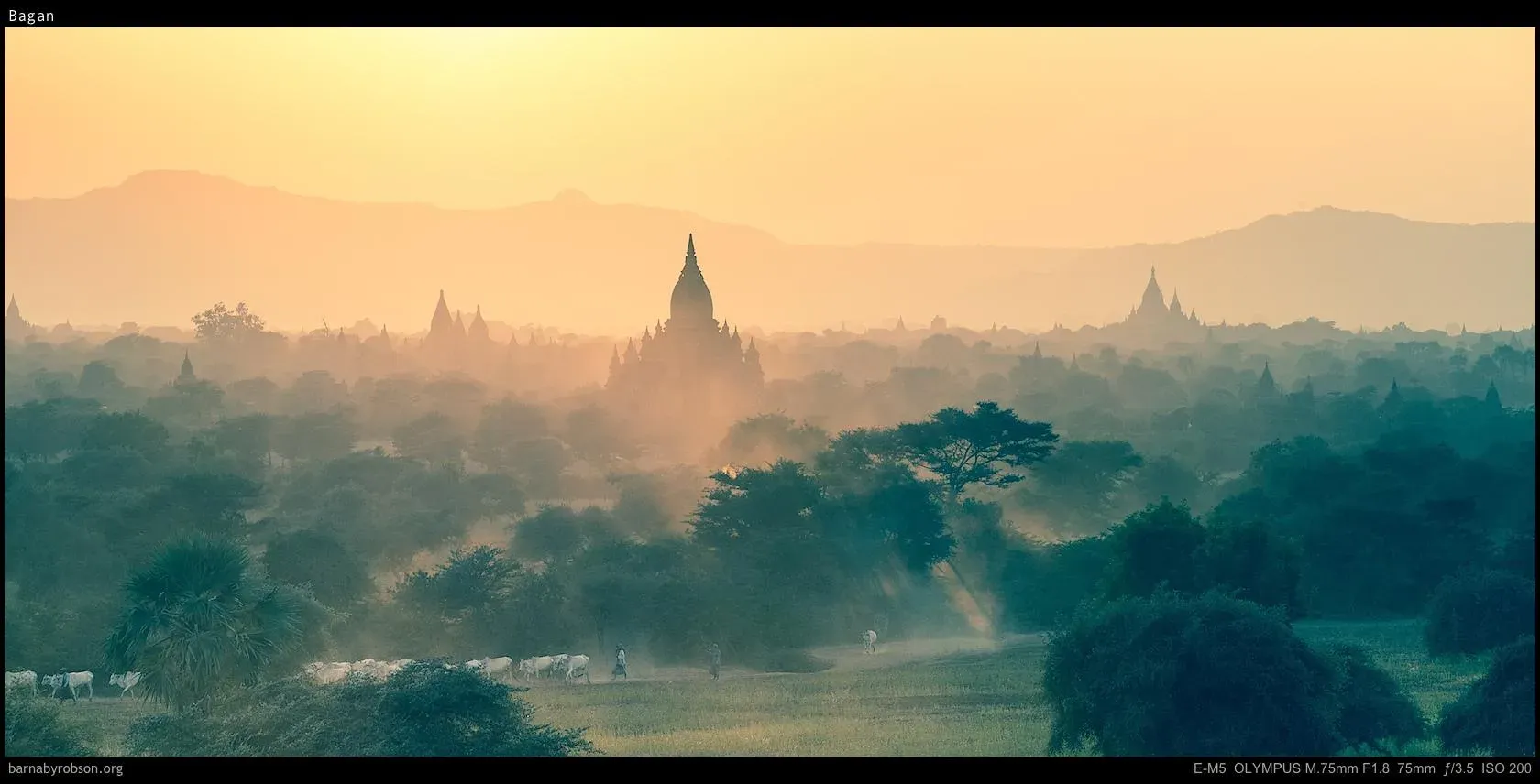 The temples of Bagan rising through golden morning mist.