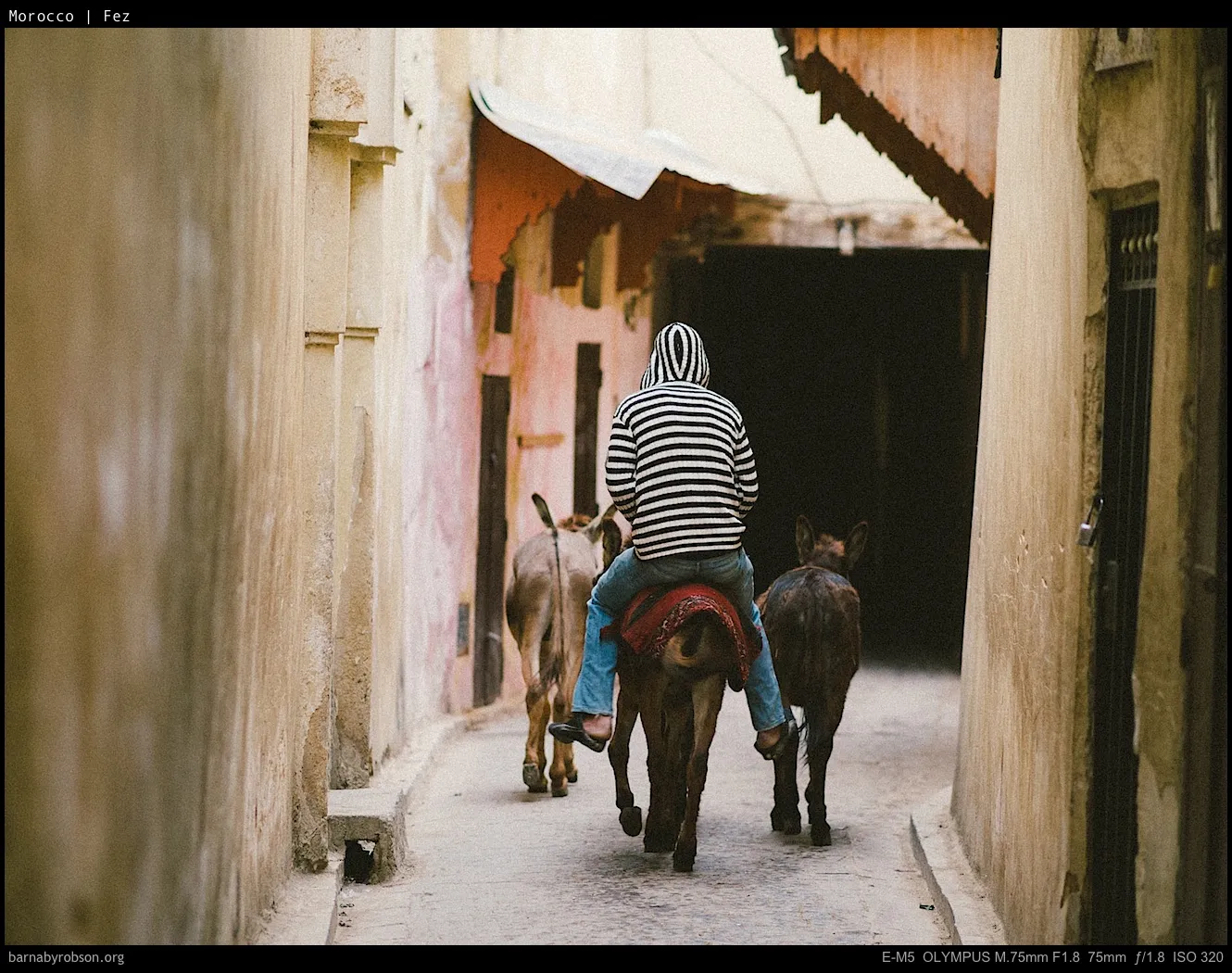 Person in striped hoodie riding a donkey, another donkey, in an alley.