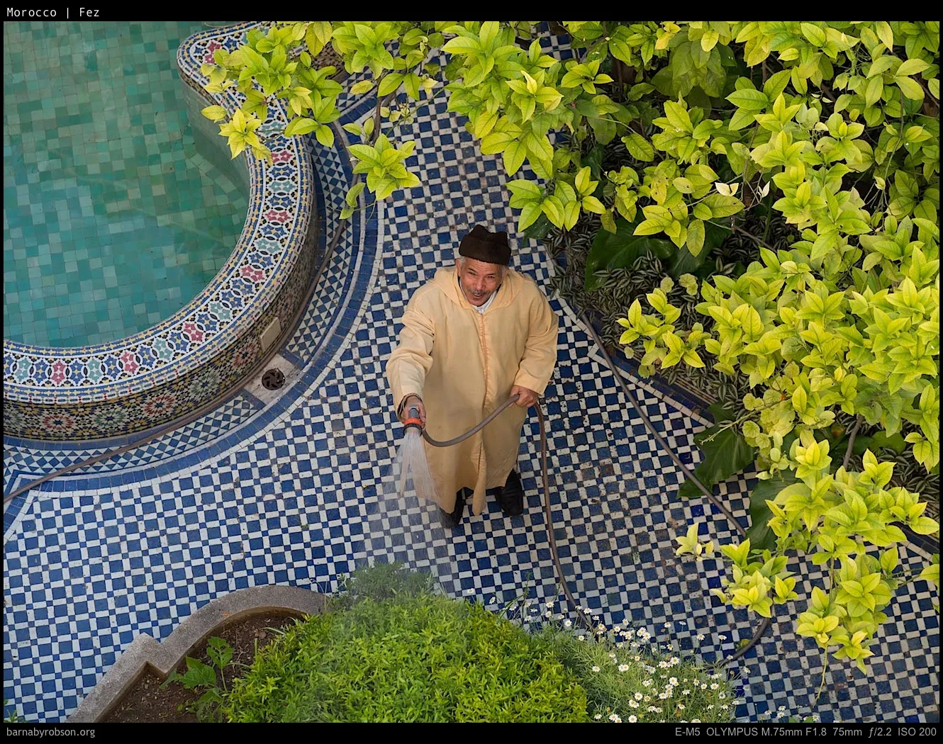 Man in robe smiling, watering plants on blue tiled patio with pool.