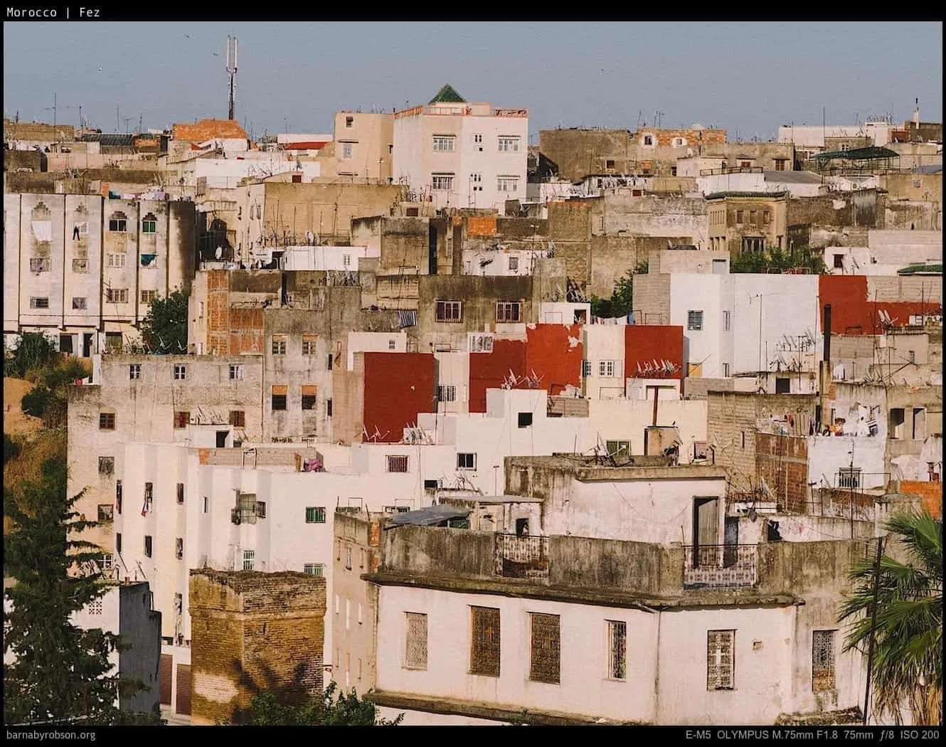 Densely packed white and terracotta buildings, with a distant communication tower.