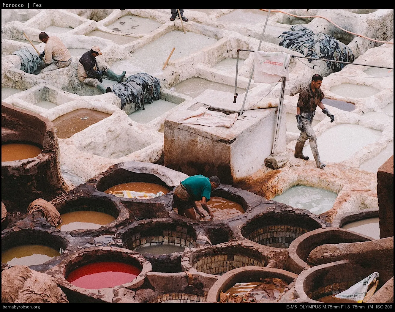Fez tannery workers among numerous pits of colourful dyes and animal hides.