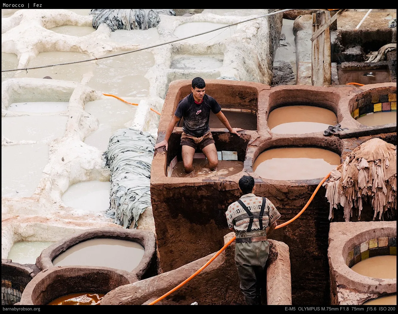 Tannery workers standing in large, liquid-filled vats, processing hides.