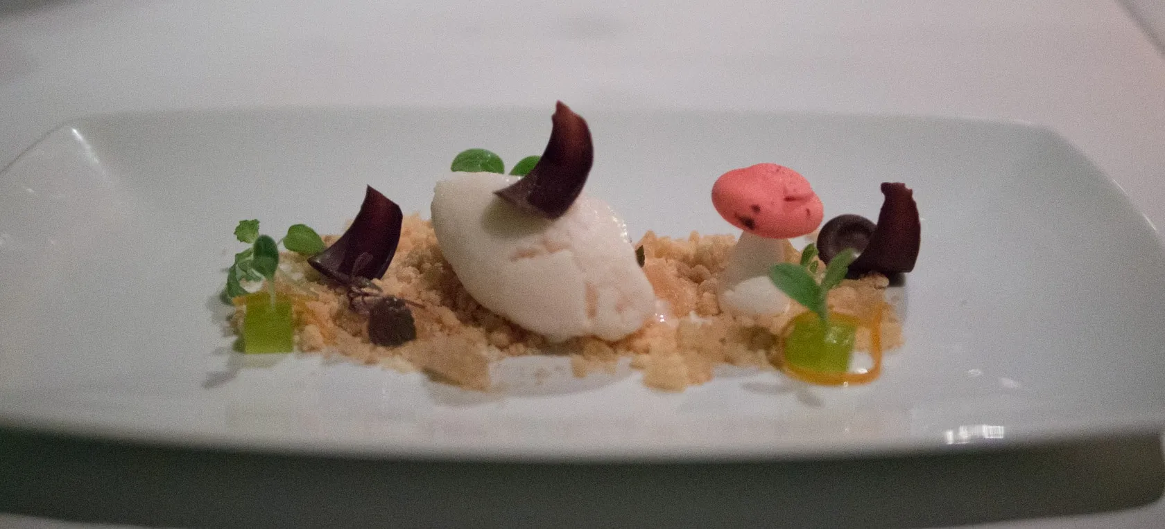 Plated dessert at a Singapore hotel restaurant — sorbet, meringue mushroom and chocolate curls arranged like a forest floor