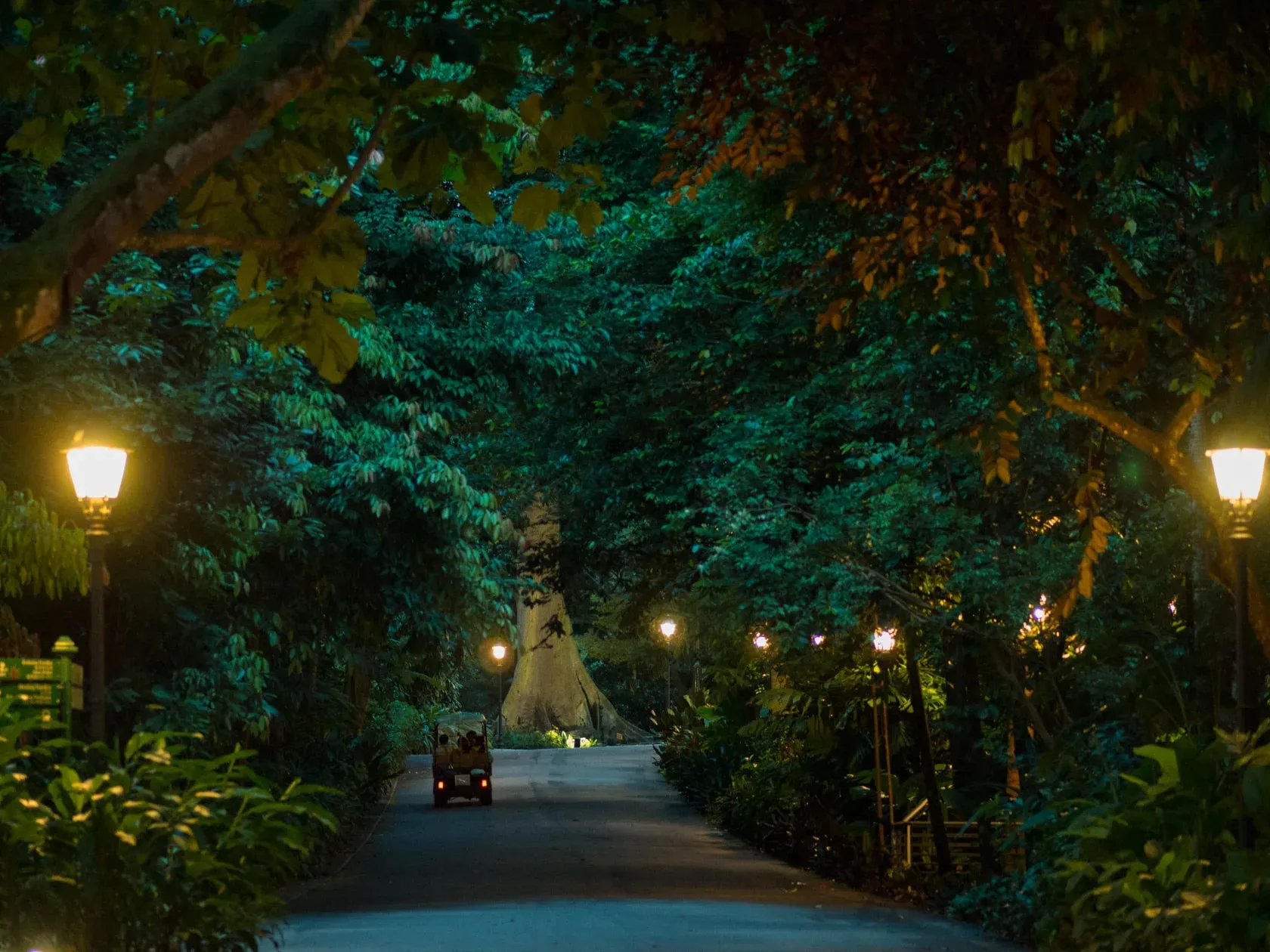 Lantern-lit gardens at night in Singapore.