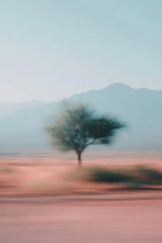 A lone tree on a plain, softened by motion blur
