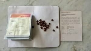 Premium single-origin Kamjing Longan I coffee beans from West Java, Indonesia, showcasing high-quality organic Arabica beans for coffee enthusiasts and connoisseurs.