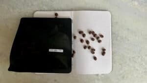 Fresh coffee beans spilled on a white dotted notebook with a black cover, on a light green surface, representing quality coffee beans and roasting process.