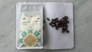 Vegan coffee tasting kit featuring coffee beans, packaging from KOKO, and a notebook with coffee grounds on a grey surface. Perfect for artisanal coffee enthusiasts and sustainable coffee brands.