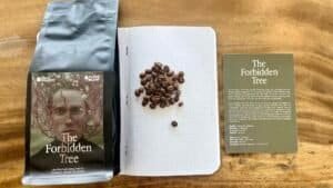 Rich roasted Ethiopian coffee beans and tasting notes in a modern coffee guide on a wooden table.