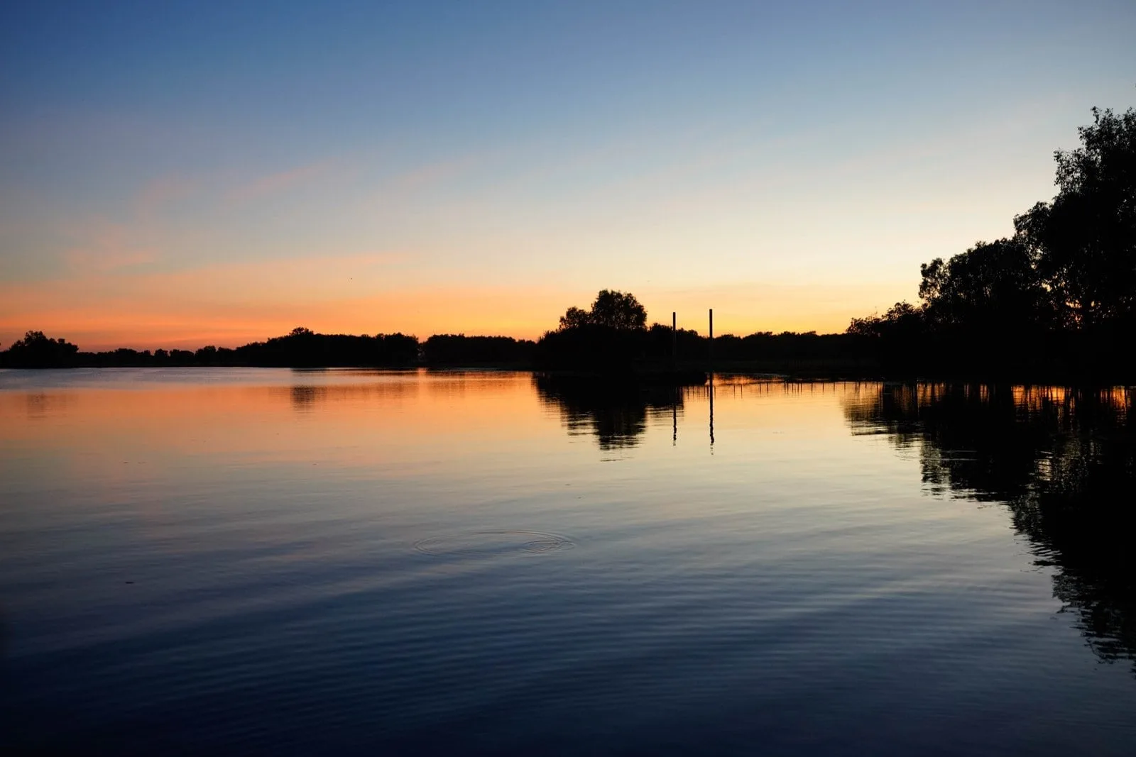 Silhouetted trees reflected in still water at dusk on Yellow Water.